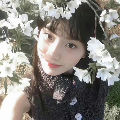 风愿